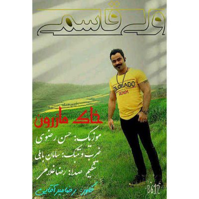 ولی قاسمی خاک مازرون